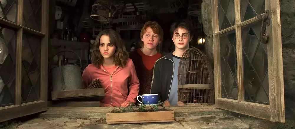 Quiz: Which Harry Potter Character Are You, Albus Dumbledore or the Dark Lord?